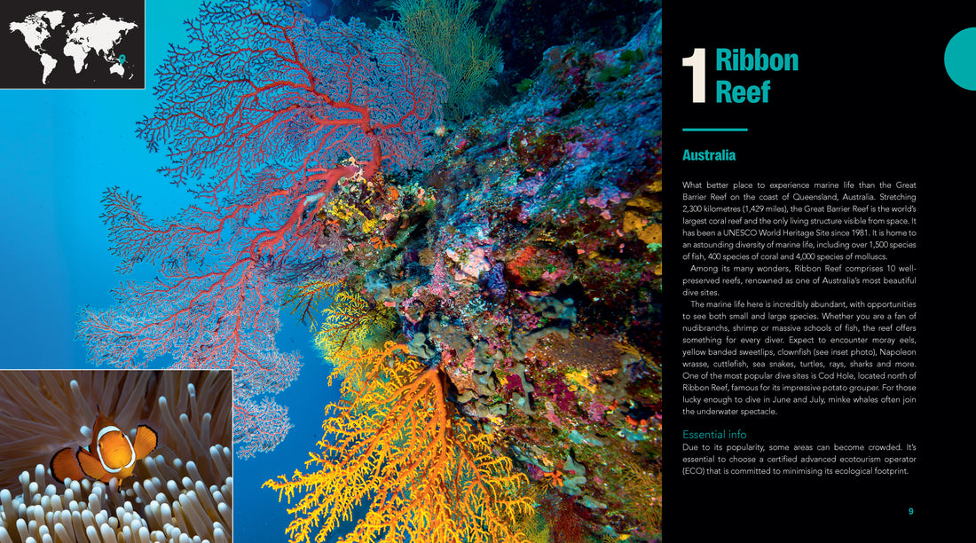 Great Diving Spots - World
