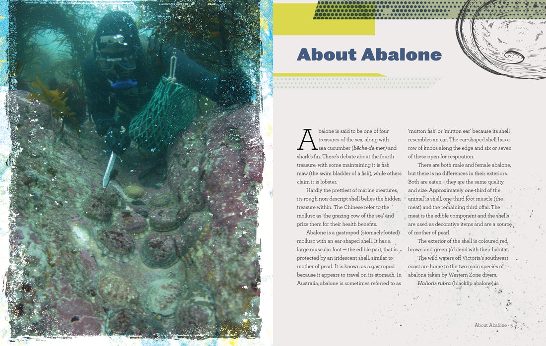 Abalone Pioneers